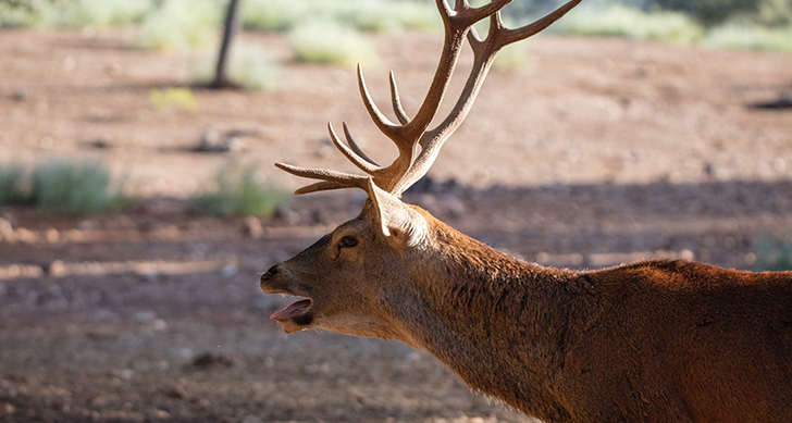 518A6347_0_0 (Social)