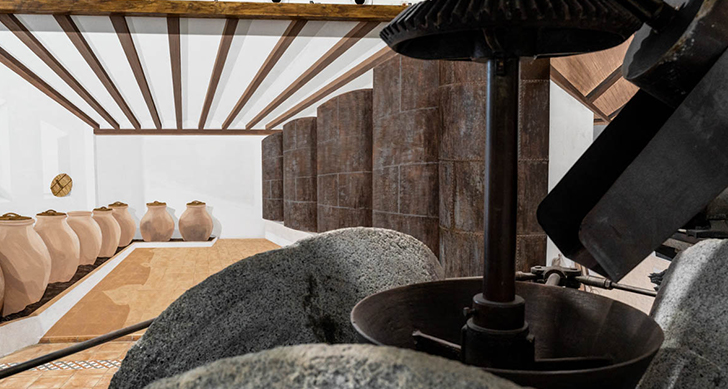 bodega-y-molino-oleotour