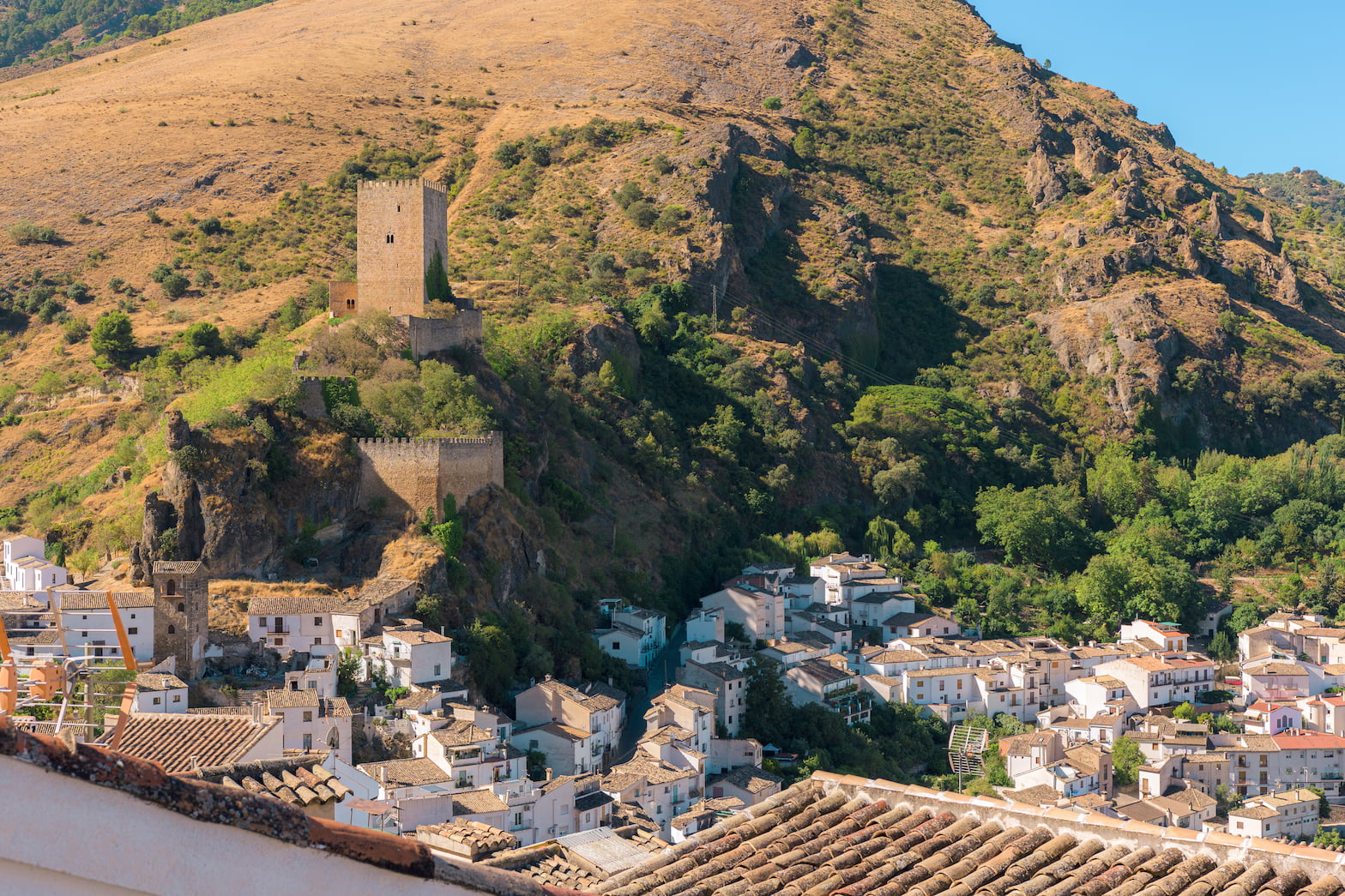 Inicio - Tu Experiencia en Sierra de Cazorla