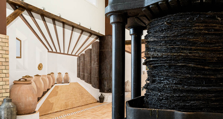 museo-oleoturismo