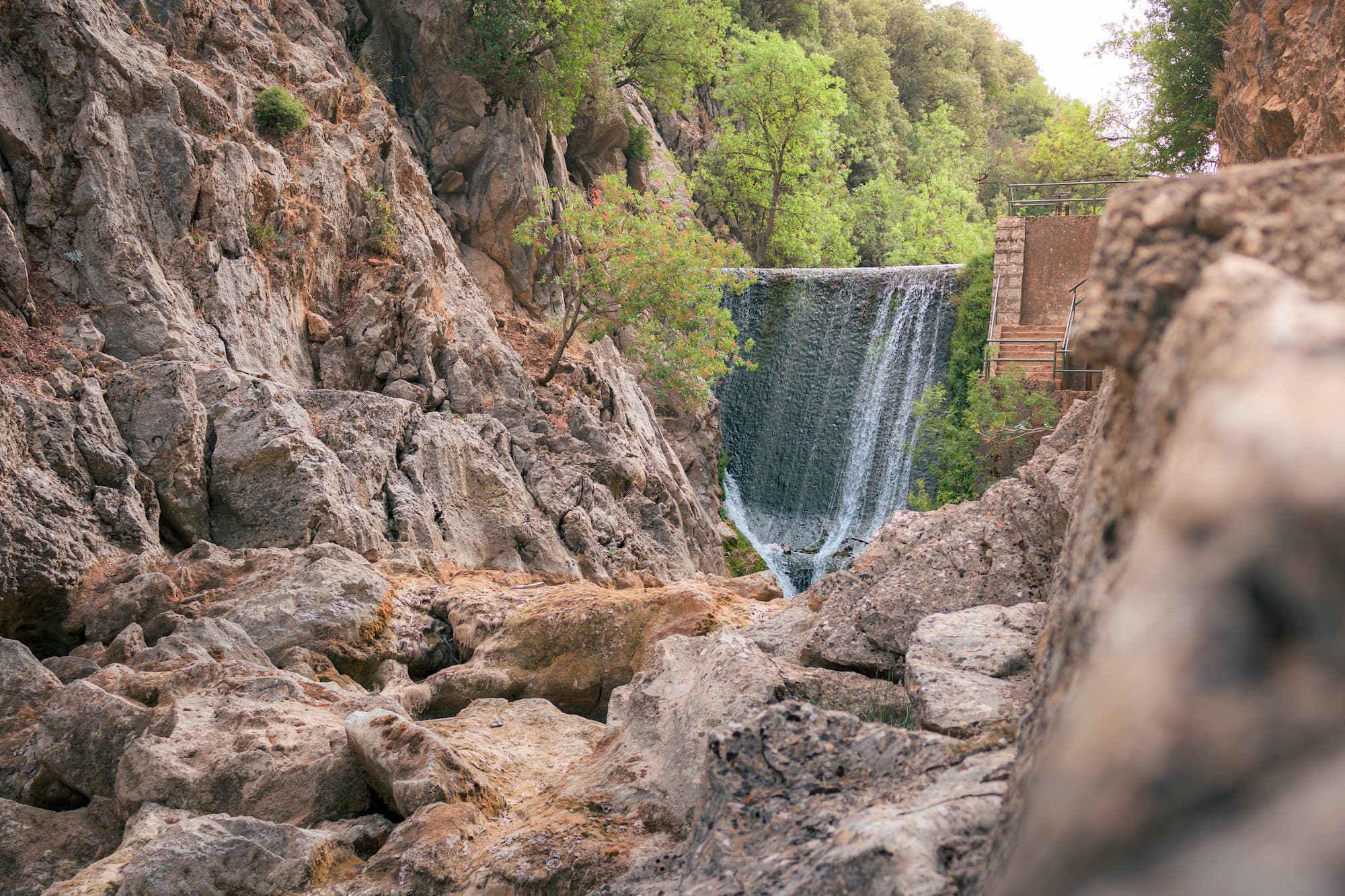 Inicio - Tu Experiencia en Sierra de Cazorla