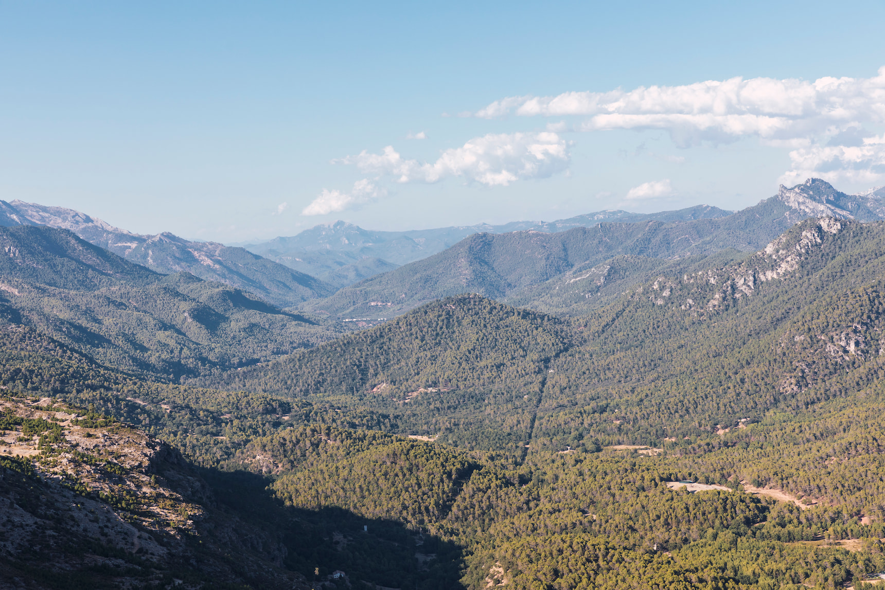 Inicio - Tu Experiencia en Sierra de Cazorla
